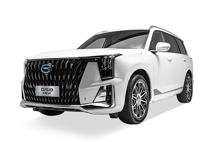  GS8 HEV - GAC Coatzacoalcos in Coatzacoalcos Veracruz de Ignacio de la Llave